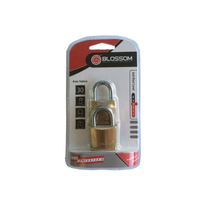 Blossom Brass 2pcs Set Standard Padlocks 30mm