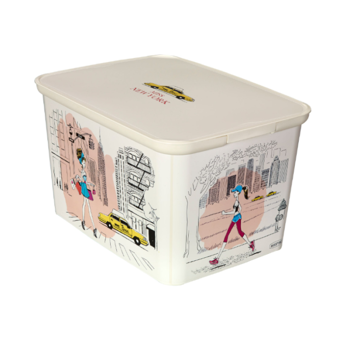 Curver 22Ltr Deco Storage Box 40 x 30 x 24 Cm