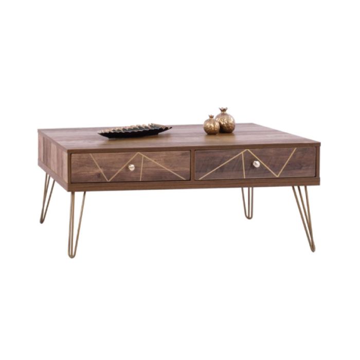 Kaitlyn HM8651 Walnut Gold 110x59x42.5cm Coffee Table