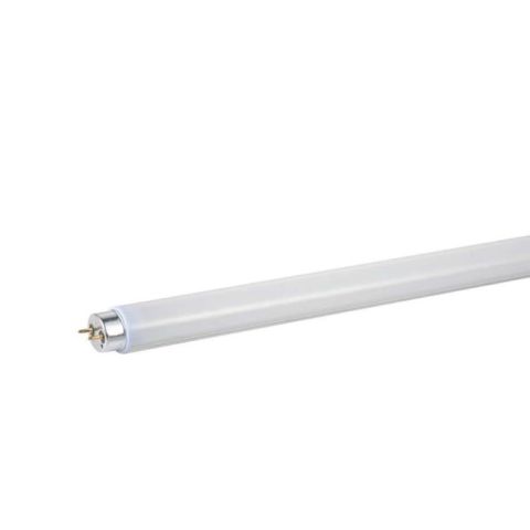 Eurolamp 10W 34.5cm 6500K (Cool White) Lamp Tube T8 LED