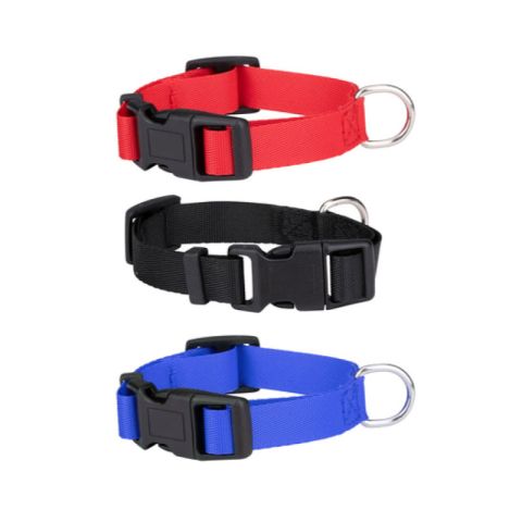 Lifetime 3 Ass 22-30x1.5cm Dog Collar
